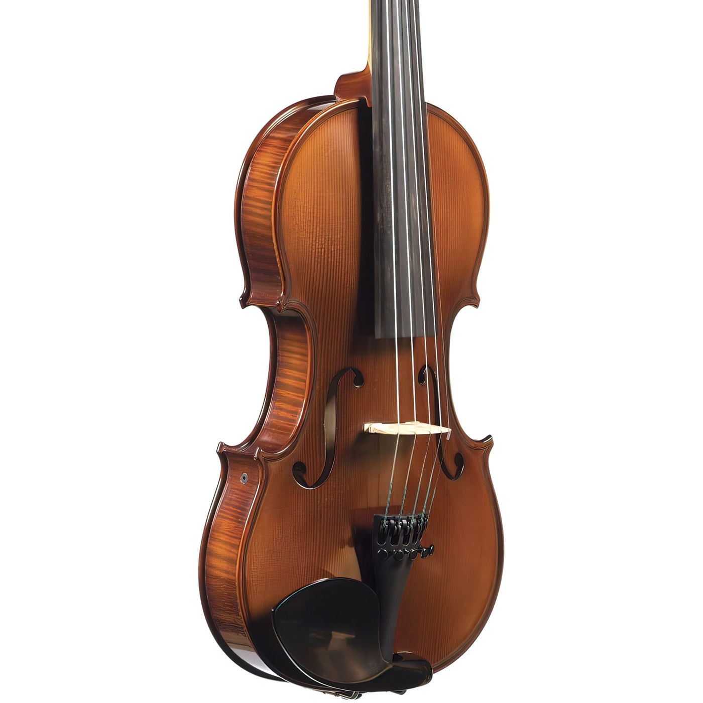 The Realist 5-String Standard Electric-Acoustic Violin (RV5E)