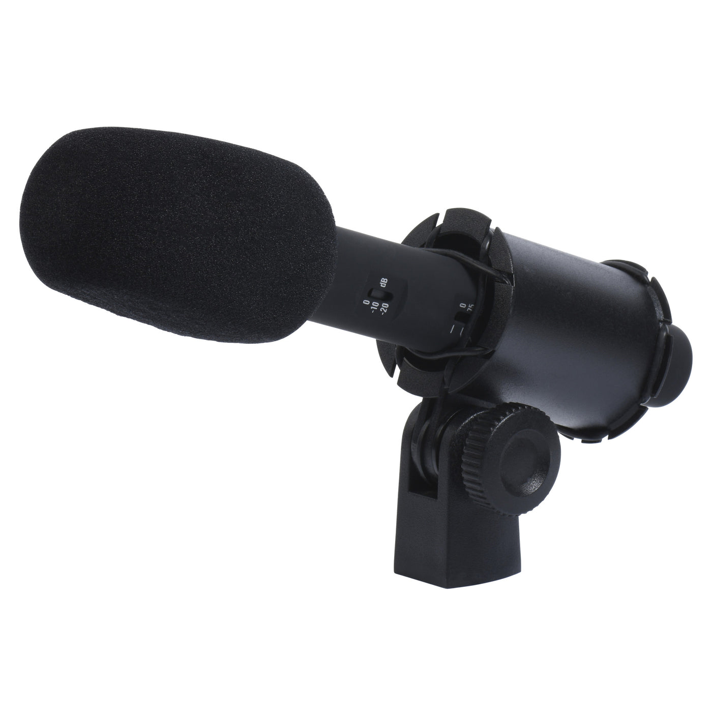 CAD Audio E70 Equitek Small Diaphragm Condenser Microphone with Cardioid and Omni Capsules (E70)