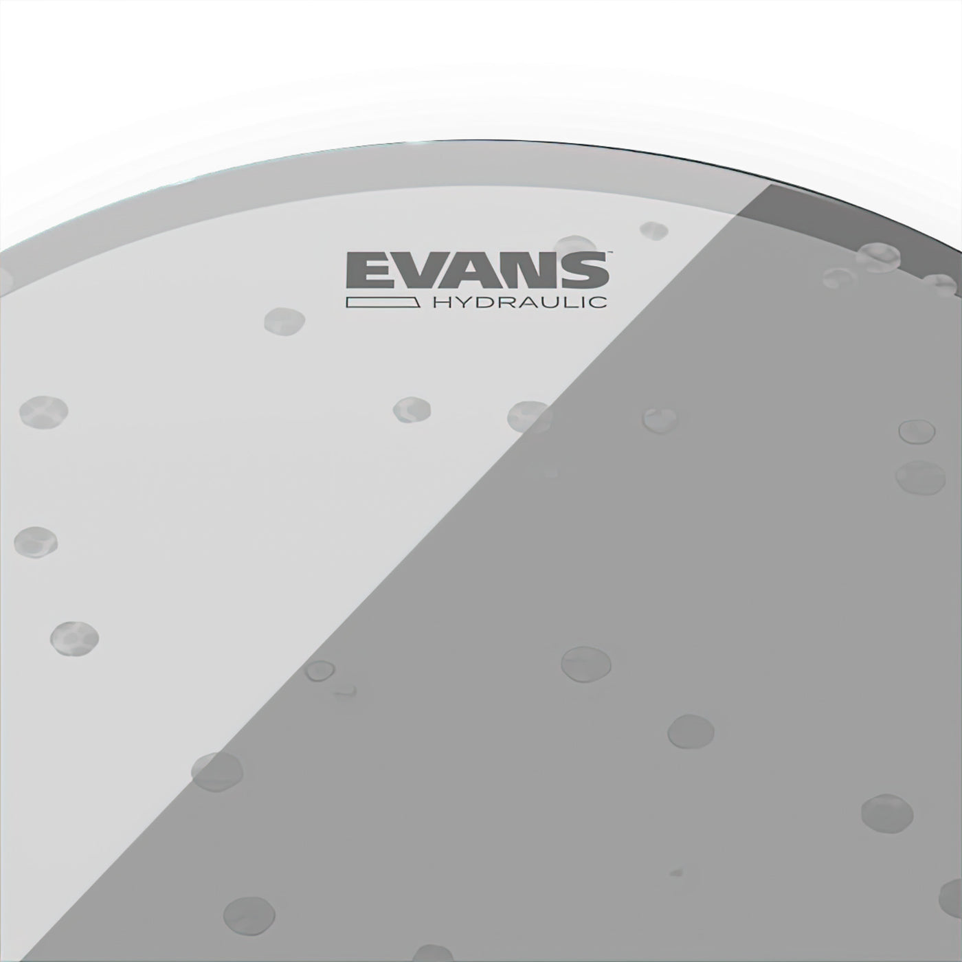 Evans Hydraulic Glass Drum Head, 14-Inch (TT14HG)