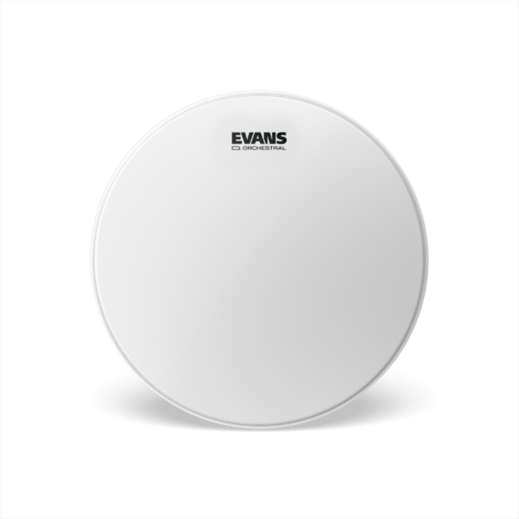 Evans Orchestral Coated White Snare Drum Head, 14-Inch – Interstate Music