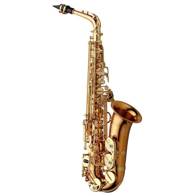 Yanagisawa A-WO2 Professional Alto Saxophone, Bronze