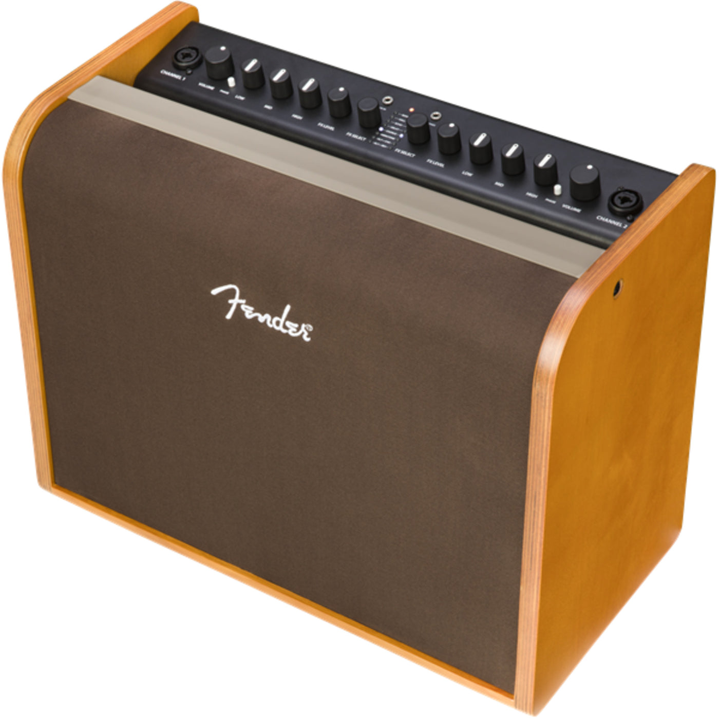Fender Acoustic 100 120V Amplifier (2314000000)