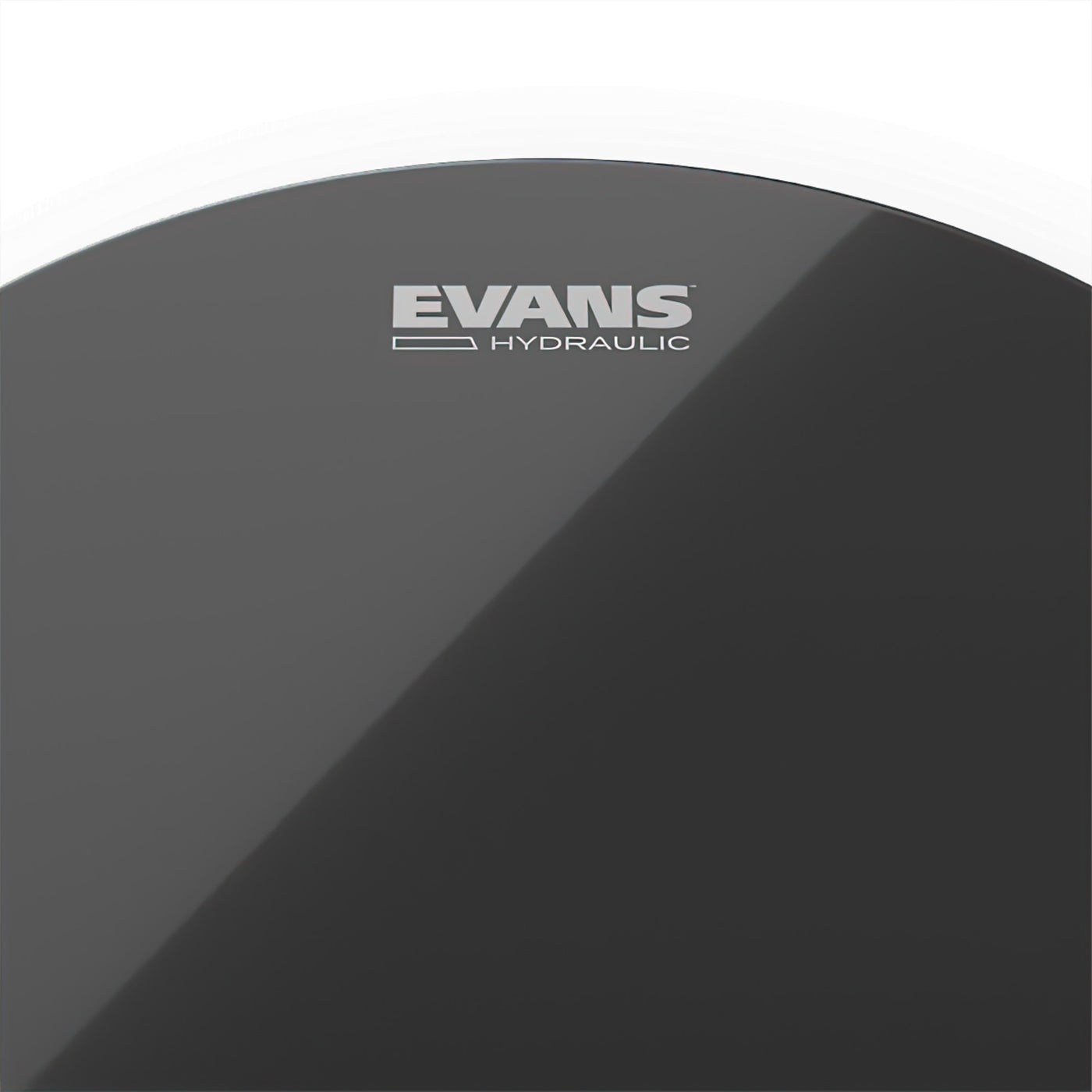 Evans Hydraulic Black Drum Head, 12-Inch (TT12HBG)