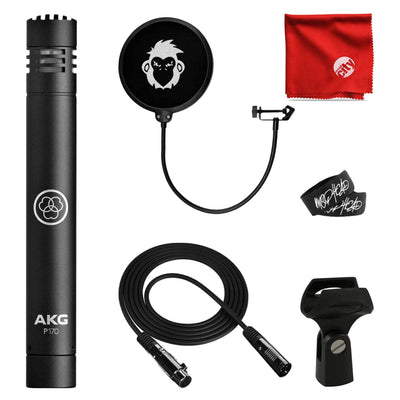 P170 High Performance Instrument Microphone