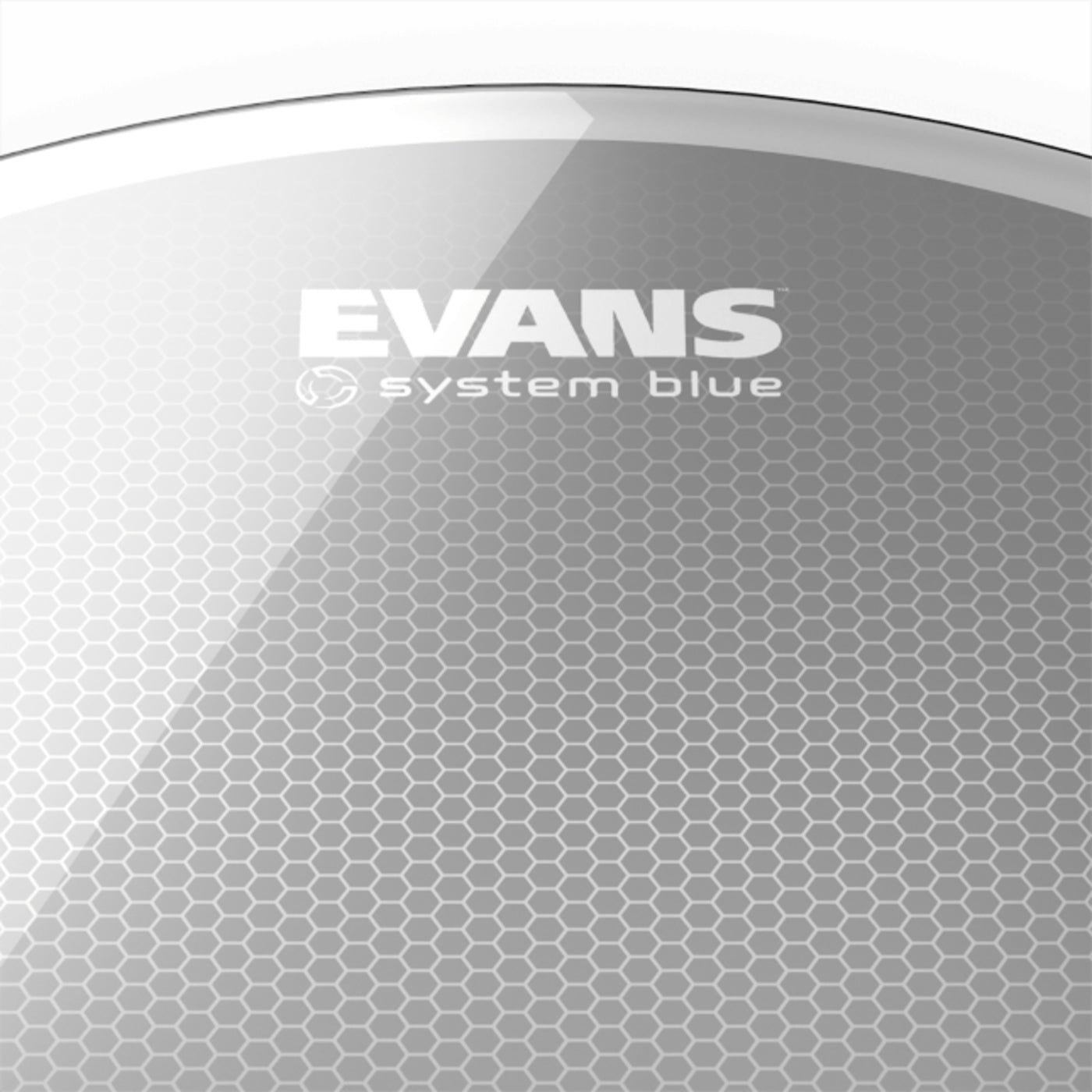 Evans System Blue SST Marching Tenor Drum Head, 13-Inch (TT13SB1)