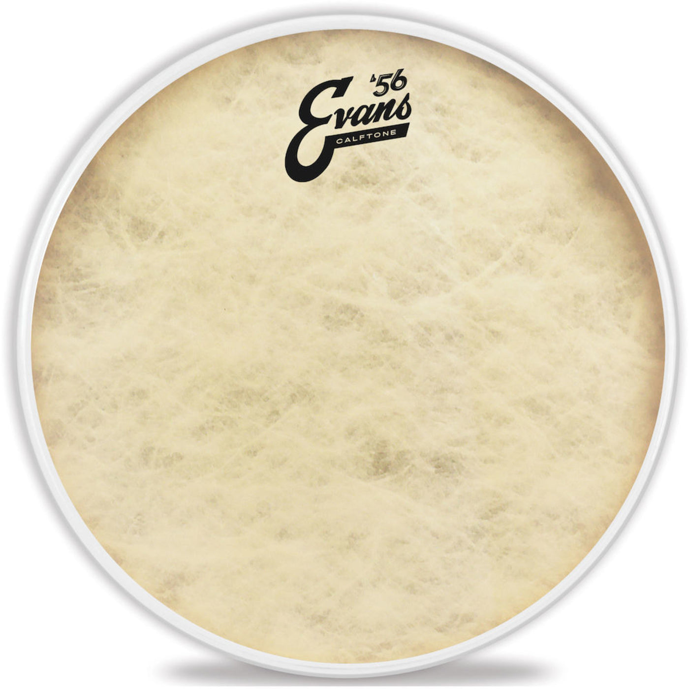 Evans Calftone Tom Batter, 10 Inch