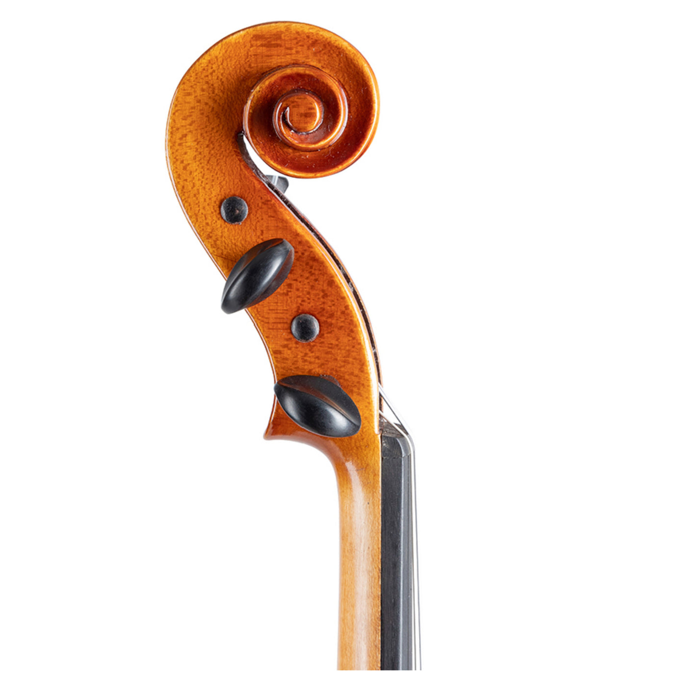 Mathias Thoma Model 55 4/4 Size Violin Outfit