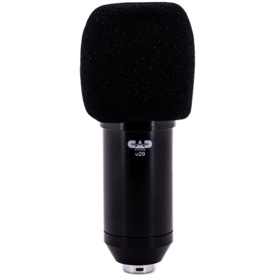 CAD Audio U29 USB Large Format Side Address Studio Microphone (U29)