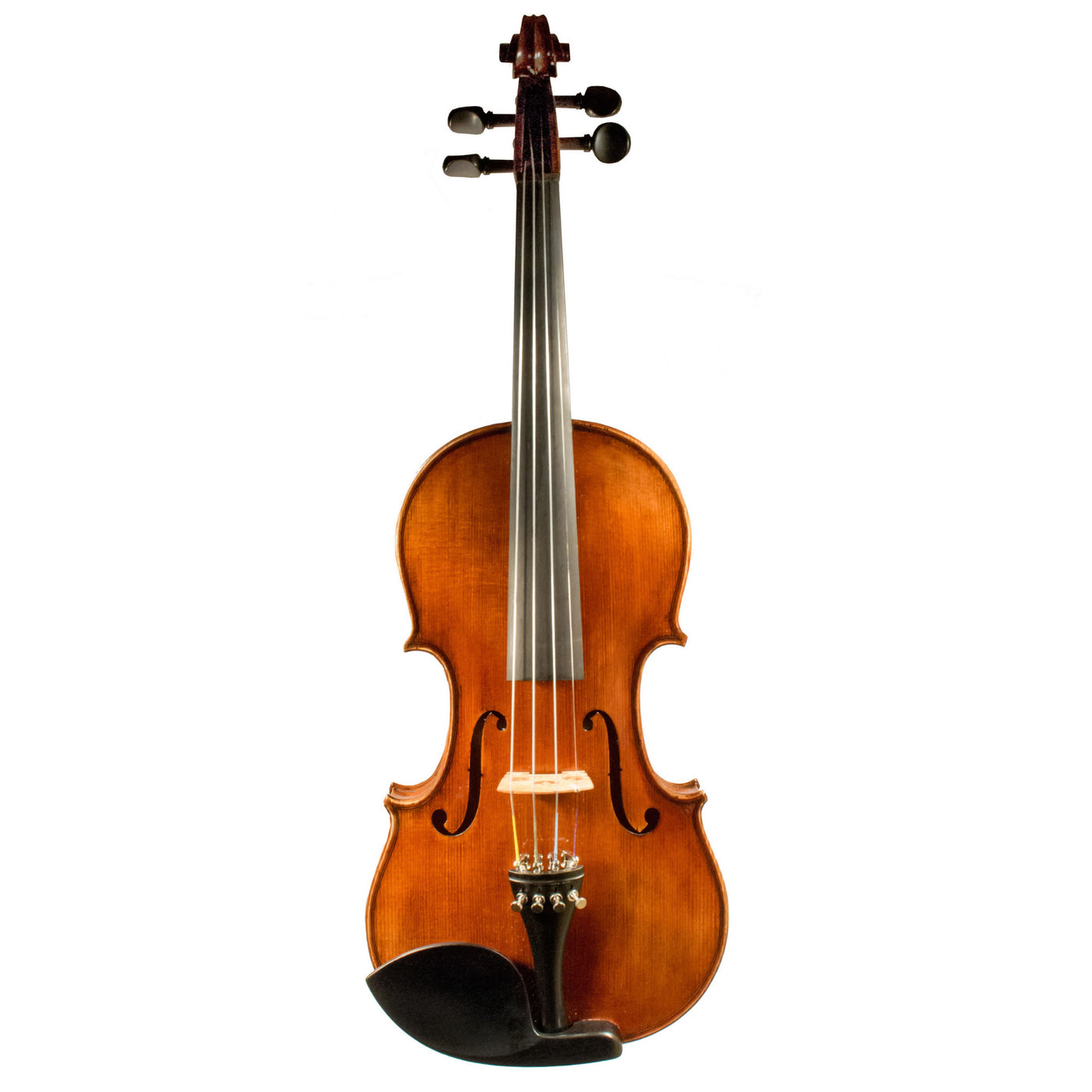 Mathias Thoma Model 100 4/4 Size Violin Outfit