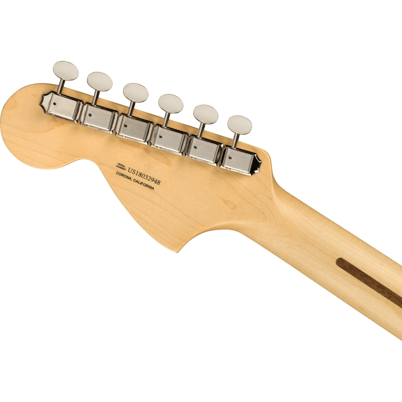 Fender American Performer Stratocaster Electric Guitar, Honey Burst (0114910342)