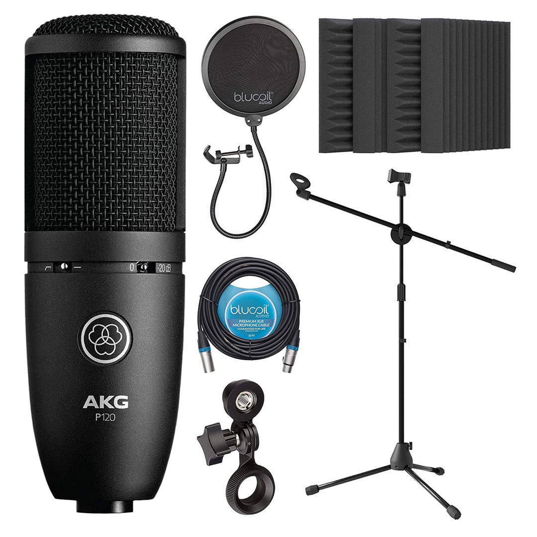 AKG store P120 microphone