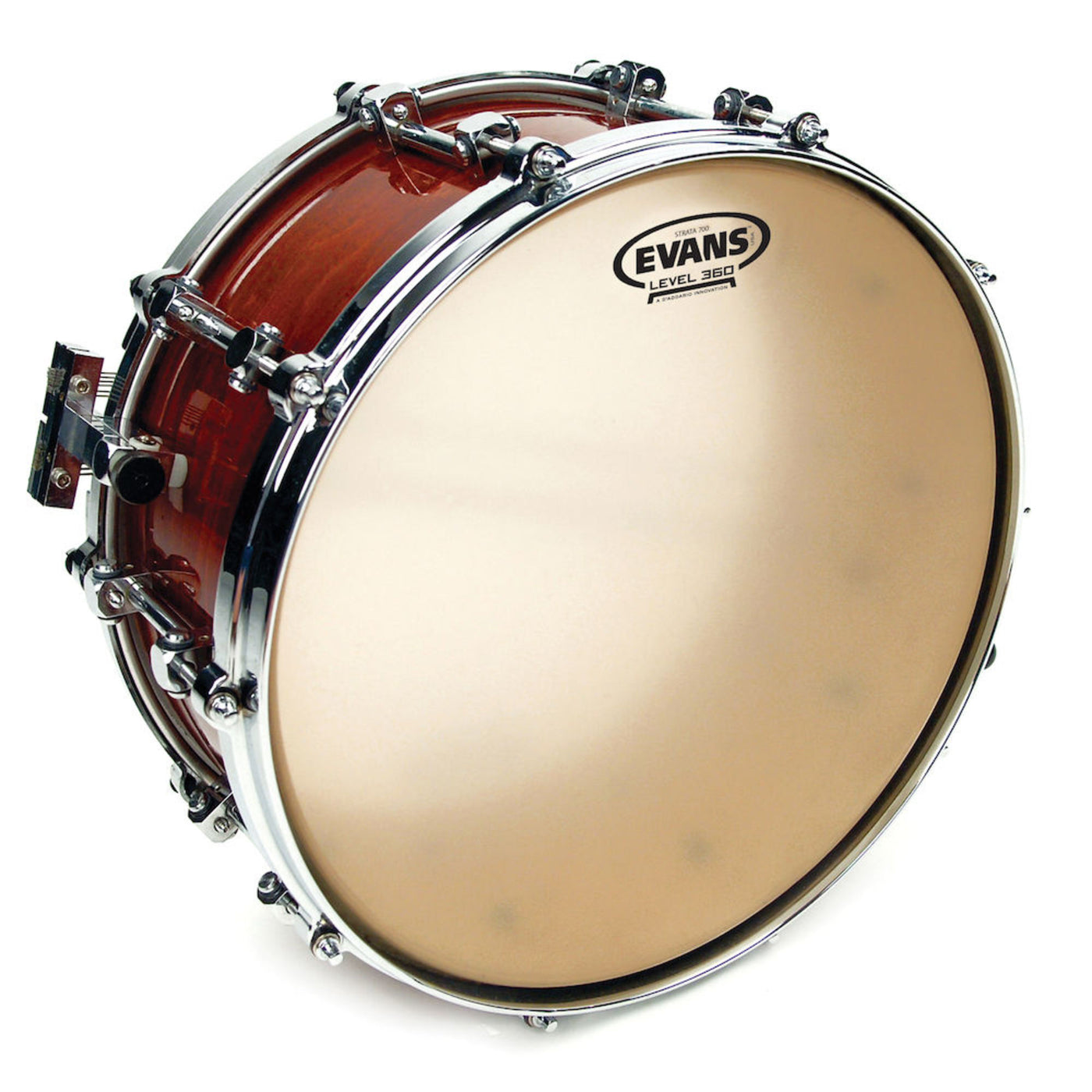 Evans Strata 700 Concert Snare Drum Head, 14 Inch