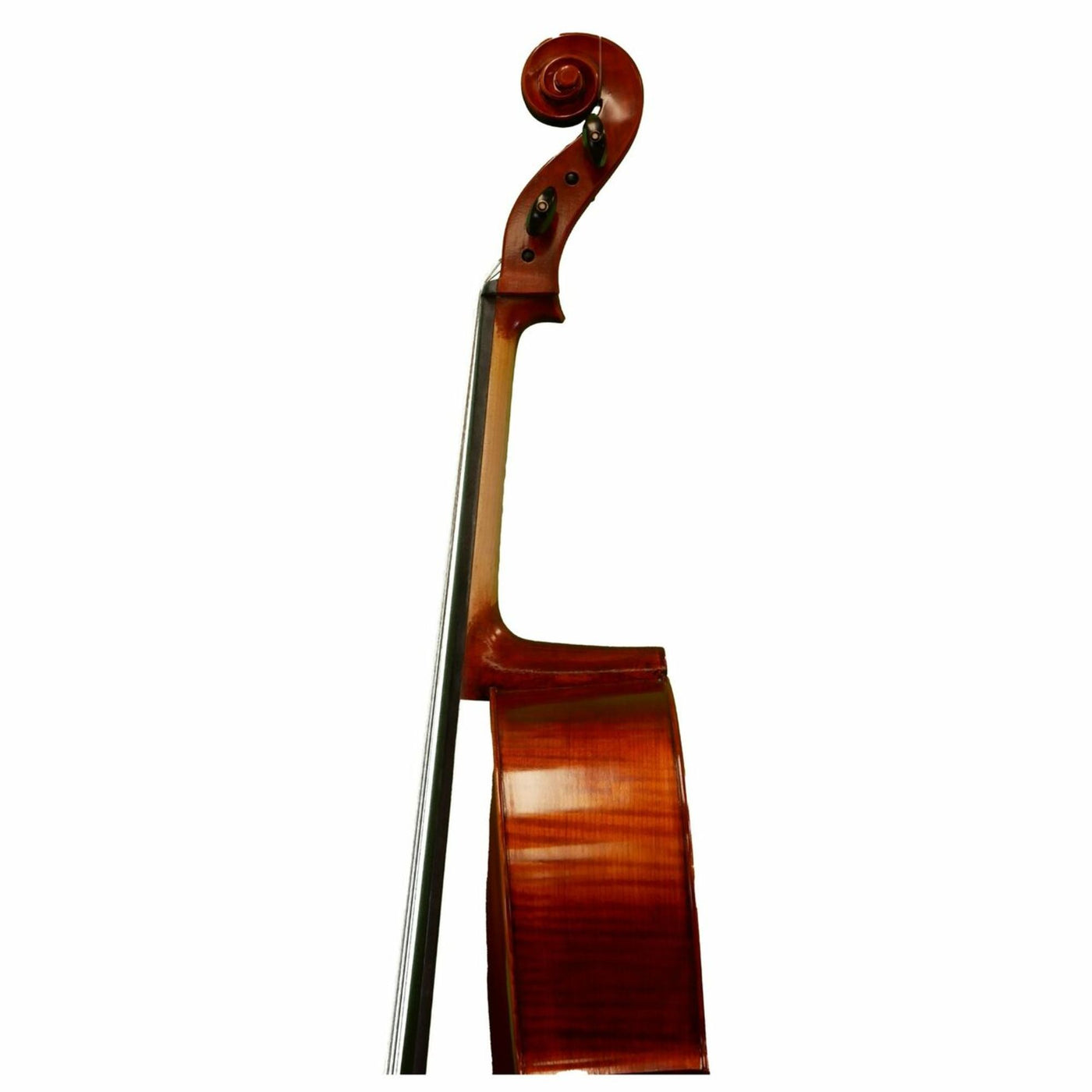 Mathias Thoma Model 68 4/4 Size Cello Outfit