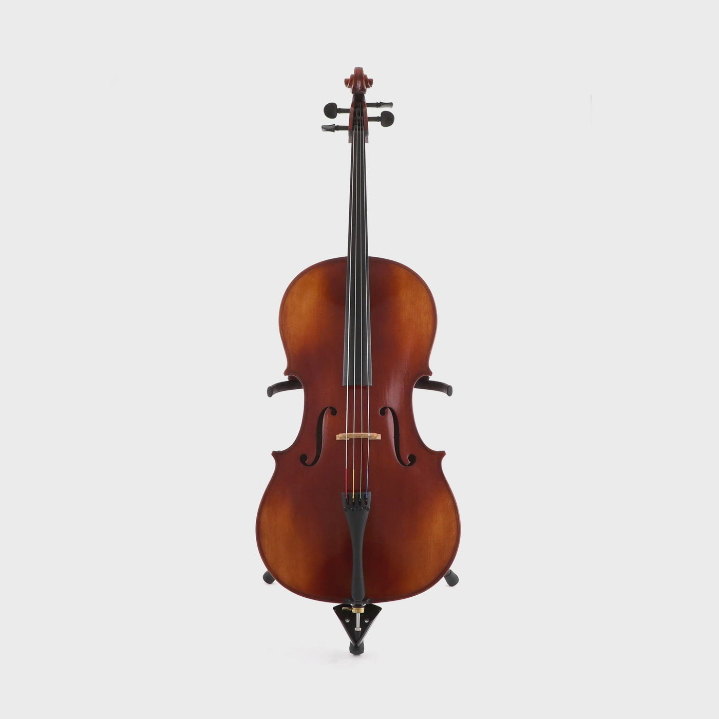 Mathias Thoma Model 68 Cello, 4/4 Size