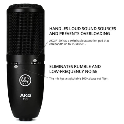 P120 High Performance General Purpose Recording Microphone